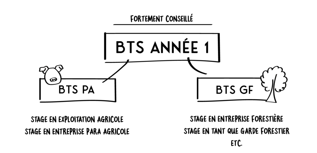 Stage à l'étranger École Le Nivot