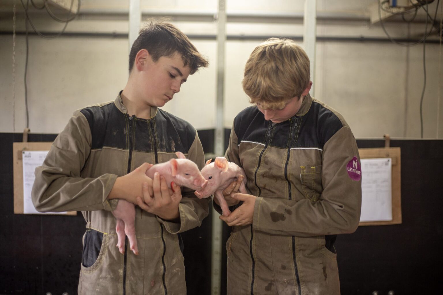 Ateliers pédagogiques