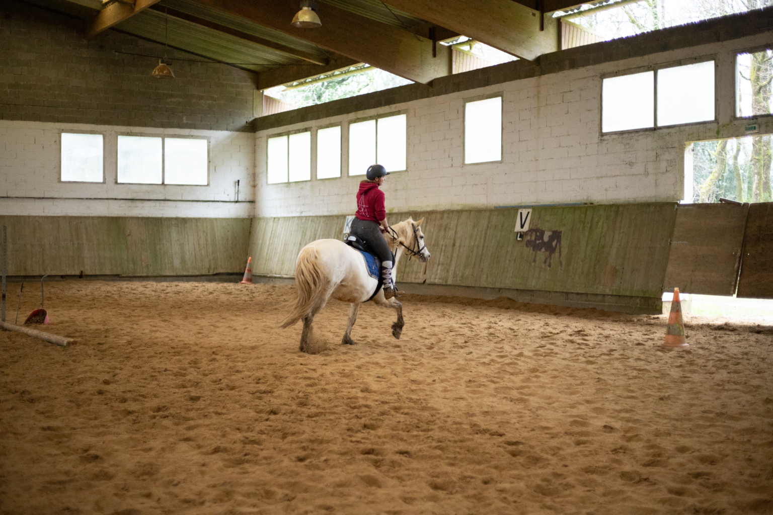 Atelier hippologie